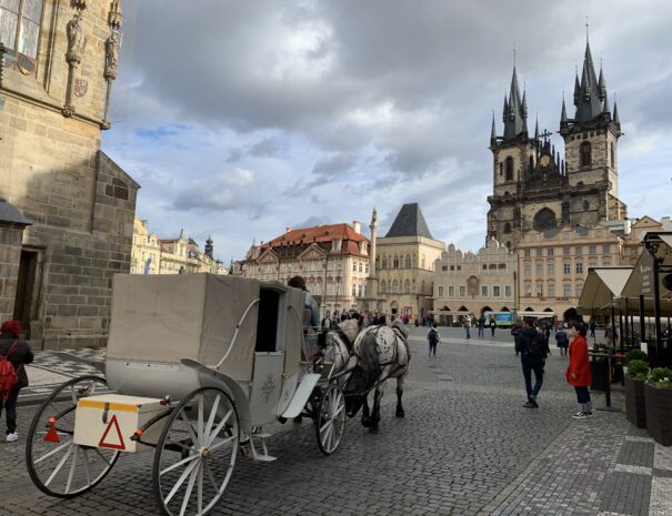weekend à prague the fan kultur voyage foot slavia et sparta