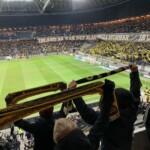 AIK fan Stockholm Friends Arena